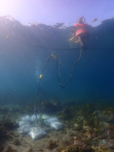 MizLinx Monitor水中係留