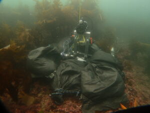 MizLinx Monitor 水中