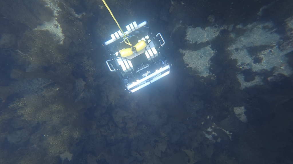 水中ロボット_MizLinx_UUV_海中